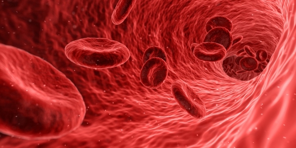 Blood, Cells, Red, Medical, Medicine, Anatomy, Health