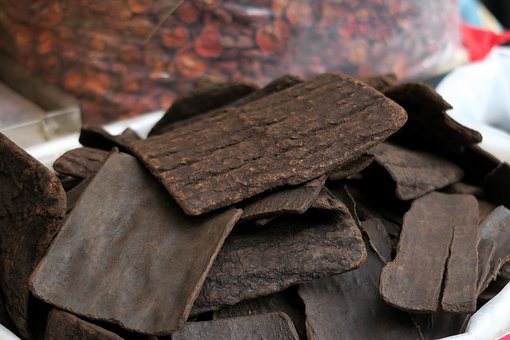 Eucommia, Chinese Medicine, Herb
