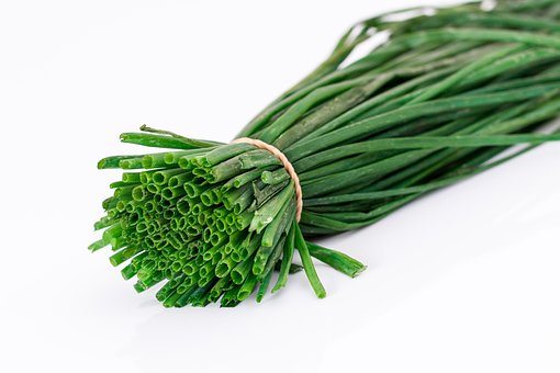 Spring Onion, Salad Onion, Flavoring