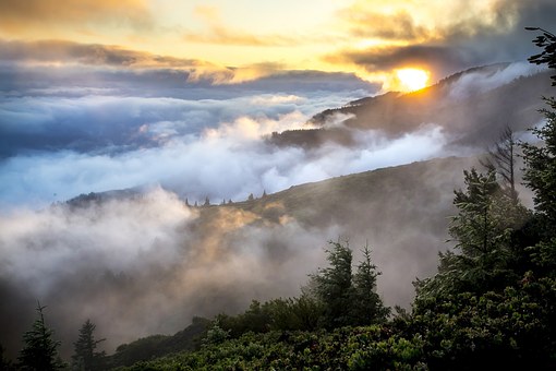 Hills, Landscape, Mist, Smoke, Forest