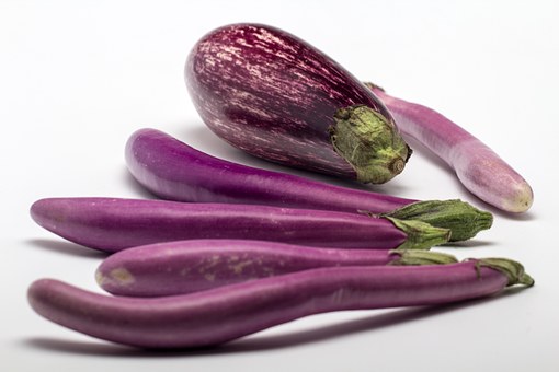 Eggplant, Fruit, Still Life, Eggplant