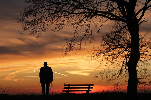Sunset, Tree, Silhouette, Dusk, Lonely