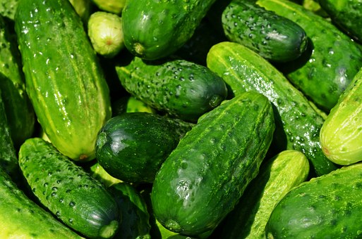 Cucumbers, Vegetables, Green, Healthy
