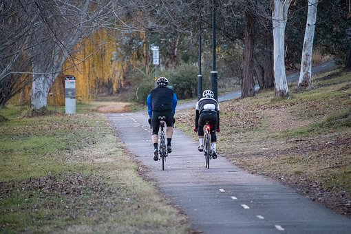 Cycling, Autumn, Bike Path, Bicycle