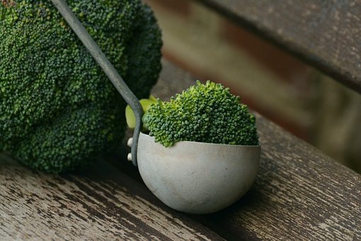 西兰花, 蔬菜, 健康, 厨师, 营养, 弗里施, 素食, 绿色 西兰花, 蔬菜, 健康, 厨师, 营养, 弗里施, 素食, 绿色, 青菜